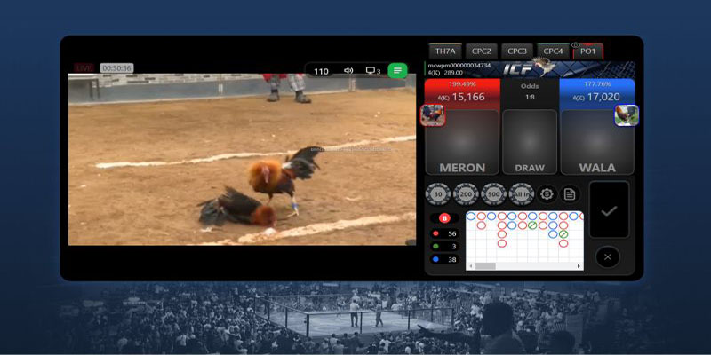 Các loại kèo cược phổ biến tại sảnh đá gà ICF